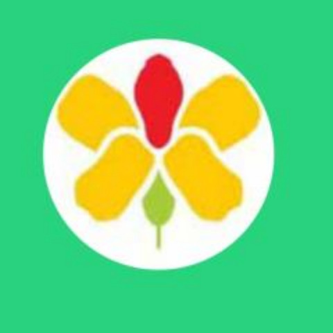 Estampa Brasil