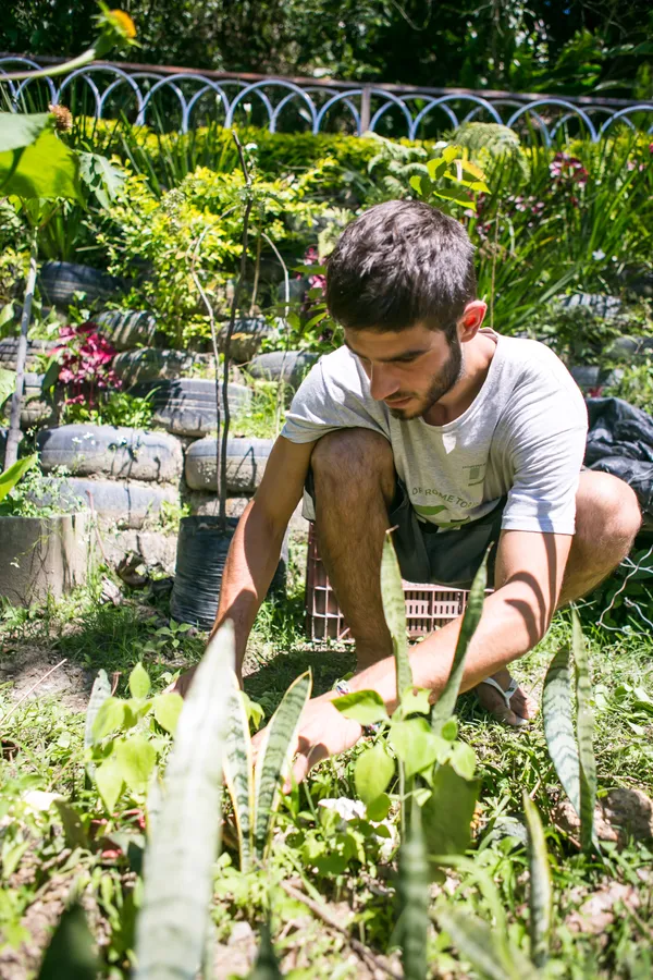 Foto de pessoa plantando, com o logotipo no canto